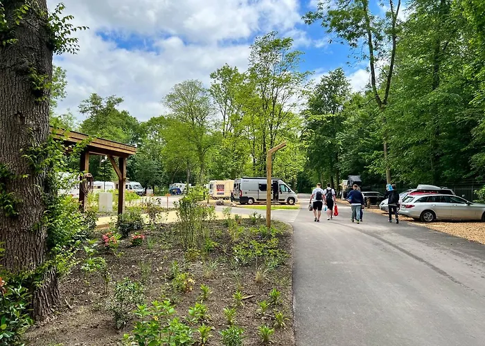 Vliegenbos Amesterdão