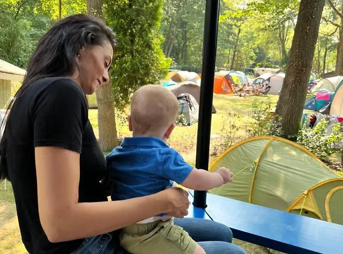 Vliegenbos * Amesterdão