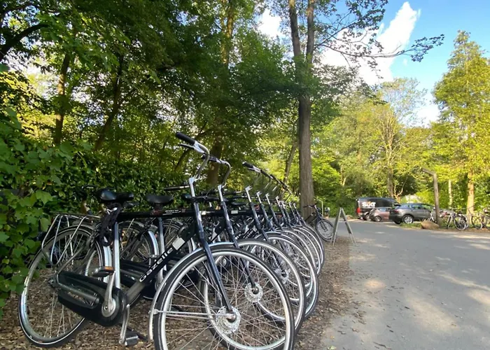 Vliegenbos Kemping Amszterdam